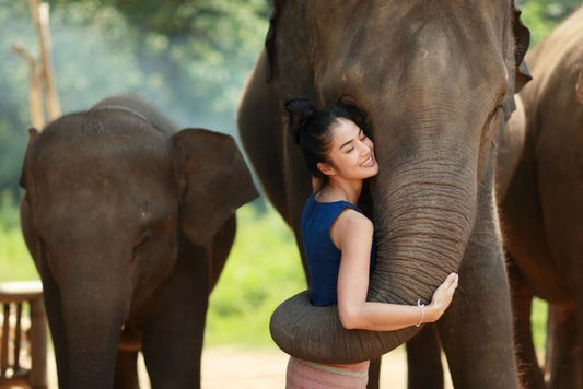 ELEPHANT SANCTUARY