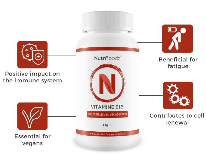 Nutrifoodz® VITAMIN B12